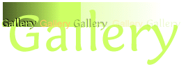 Gallery Graphic