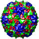 Poliovirus Type 1 (Mahoney Strain) at -170c, 1asj