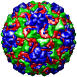 Human Rhinovirus 16, 1aym