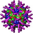 Human Rhinovirus 16 ICAM1 complex, 1d3e