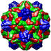 Desmodium Yellow Mottle Virus, 1ddl