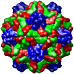 Physalis mottle virus, 1e57