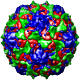 Poliovirus-2 Lansing Complexed with SCH48973, 1eah