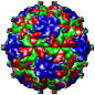 Pariacoto Virus, 1f8v