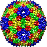 Bacteriophage PRD1, 1gw7