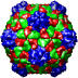 Cowpea Mosaic Virus, 1ny7