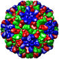 Carnation Mottle Virus, 1opo