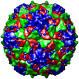 Poliovirus Type 1 (Mahoney Strain) Empty Capsid, 1pov