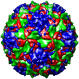 Poliovirus Type 3 (Sabin Strain), 1pvc