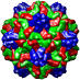 Physalis Mottle Virus, 1qjz
