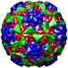 Human rhinovirus 14, 1r08