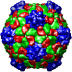 Red Clover Mottle Virus, 1rcmv