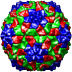 Sesbania Mosaic Virus, 1smv