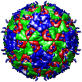 Theiler's Murine Encephalomyelitis (BeAn Strain), 1tmf