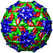 Mengo Encephalomyocarditis Virus, 2mev