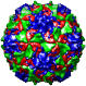 Human poliovirus 1 strain mahoney, 2plv