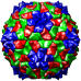 Southern Bean Mosaic Virus, 4sbv