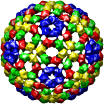 sindbis