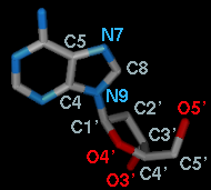 bond rotation example