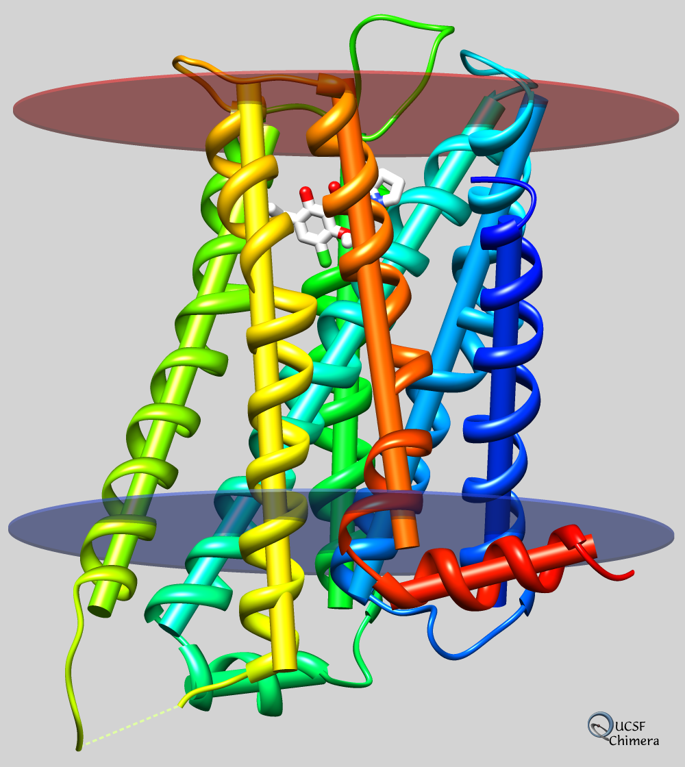click for more info... dopamine receptor with axes and planes
