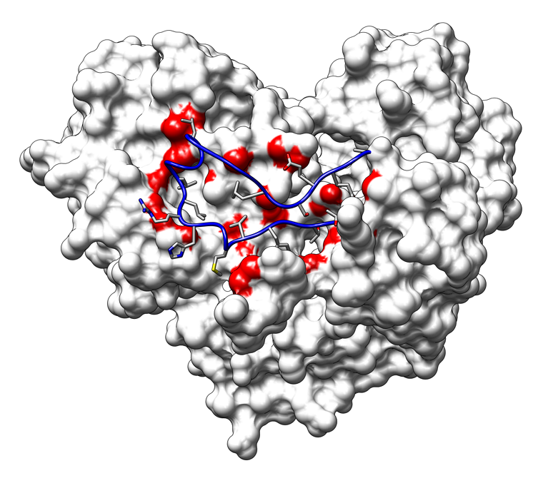 Loop Interactions