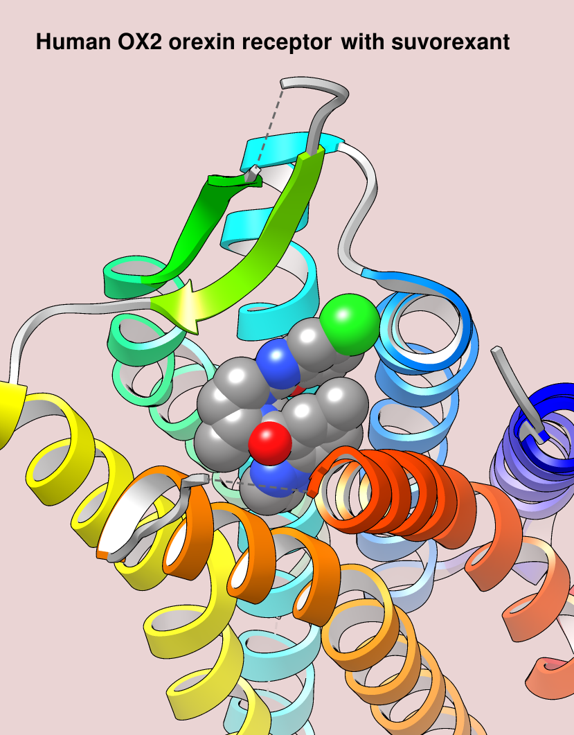 orexin receptor and suvorexant, view 2