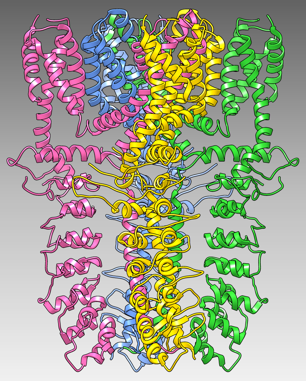 TRPA1 ion channel, AKA wasabi receptor
