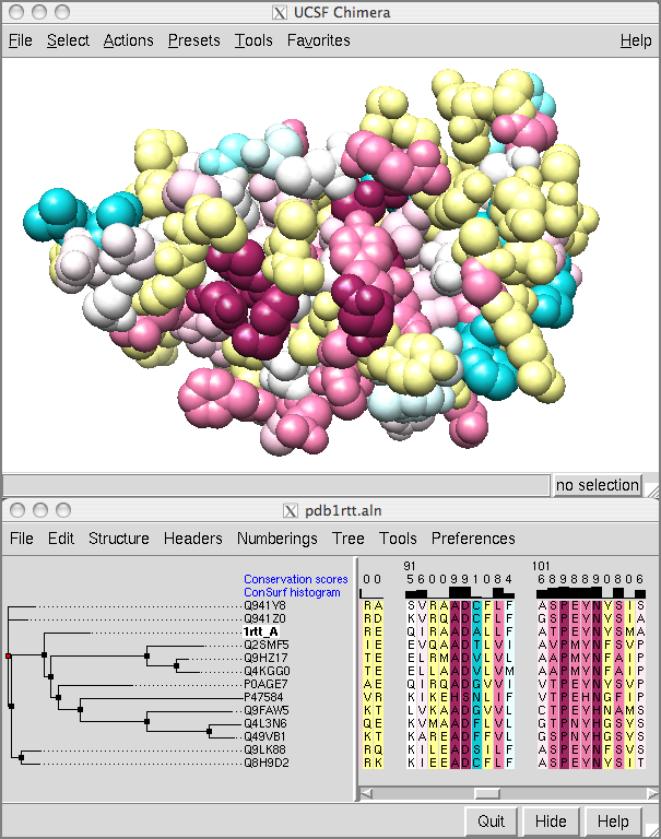 click for more info... Consurf coloring and alignment