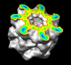 surface color by density