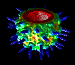 radial surface color radial surface color