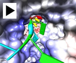 click to play animation