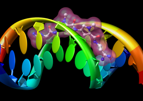 click for more info... DNA and netropsin
