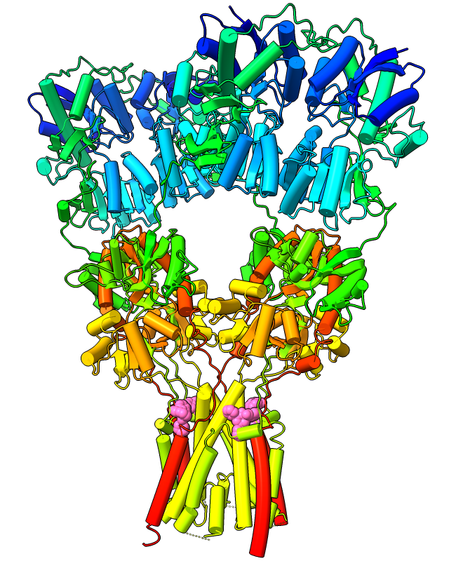 AMPA receptor with tube helices
