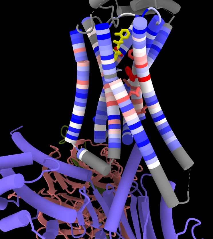 GPCR conservation coloring tube helices