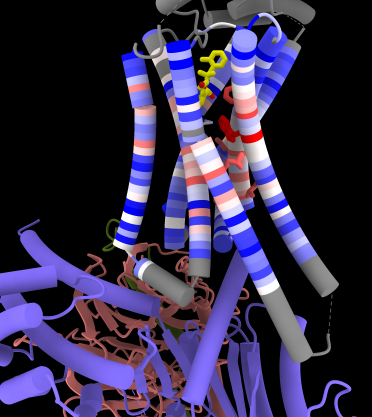 click to enlarge... GPCR conservation coloring tube helices