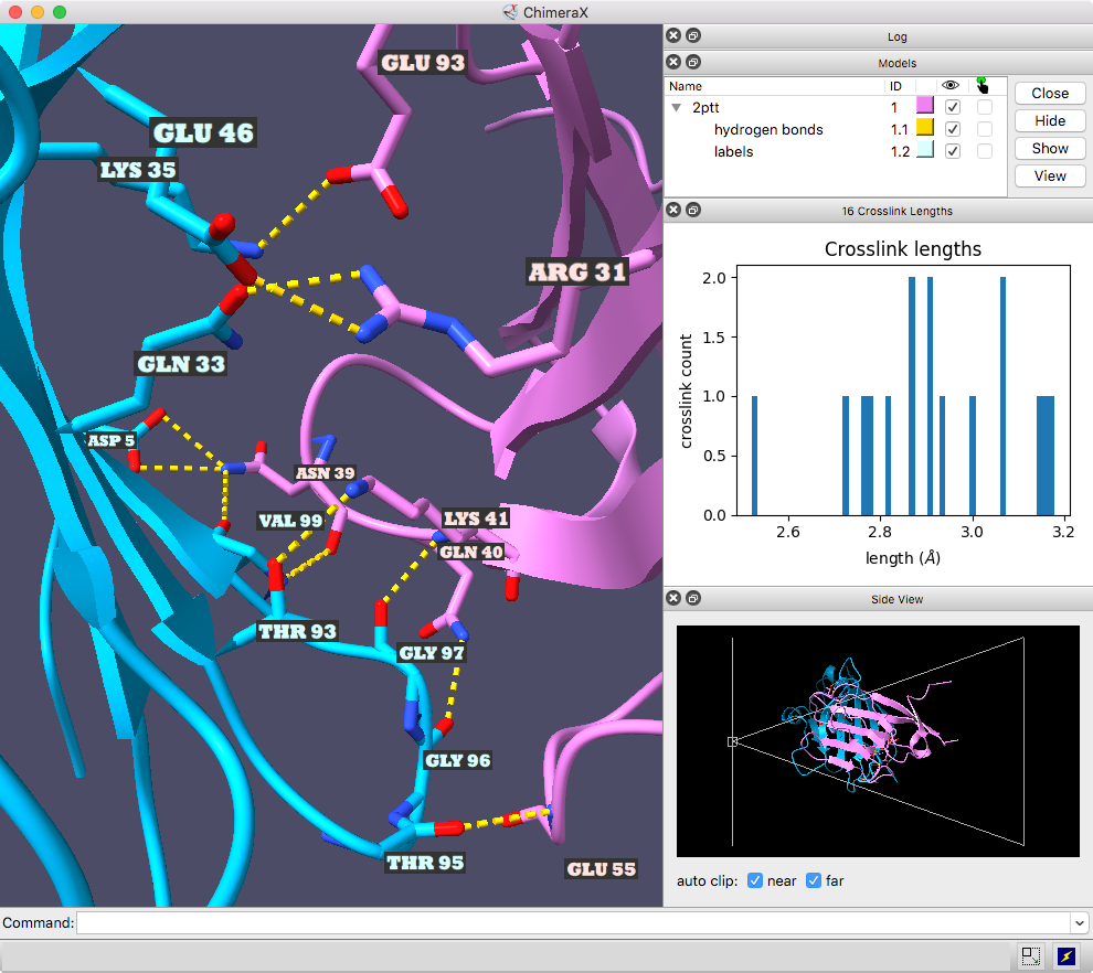 click to enlarge... 2ptt interchain H-bonds screenshot