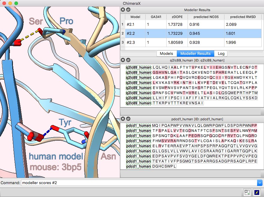 click to enlarge... heterodimer modeling screenshot