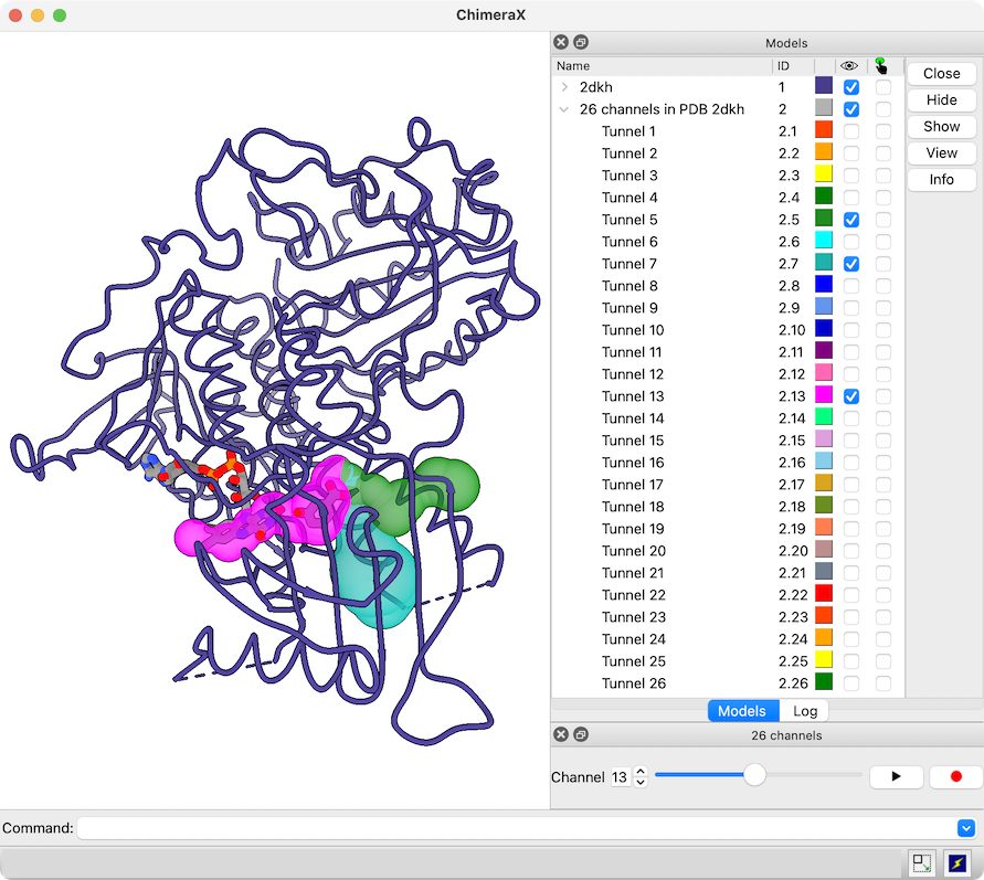 click to enlarge... 2dkh monomer with MOLE channels