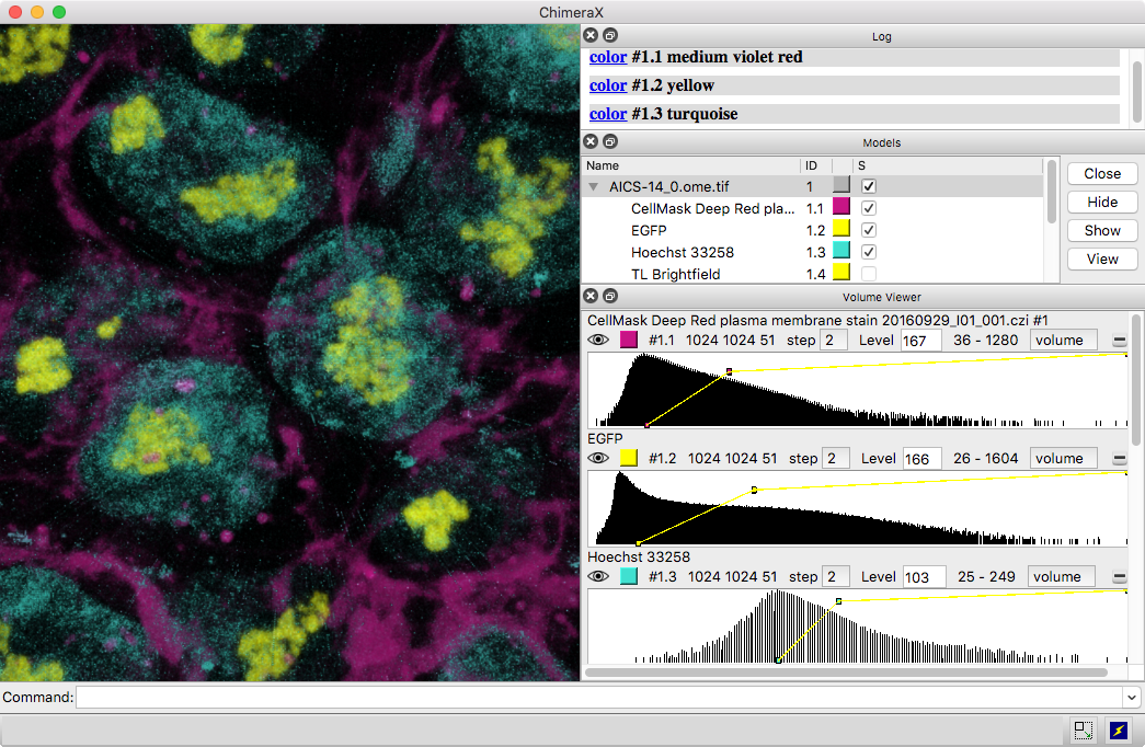 click to enlarge... multichannel 3D image of hiPSCs from AICS