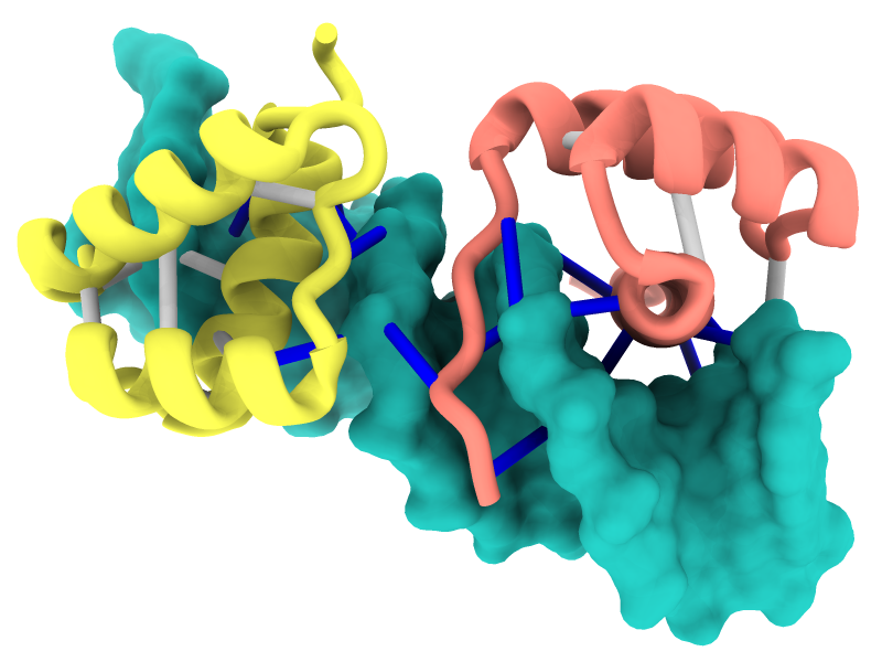 click to enlarge... DNA/protein complex with struts