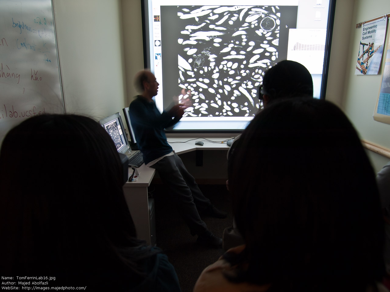 Stereoscope Definition Science