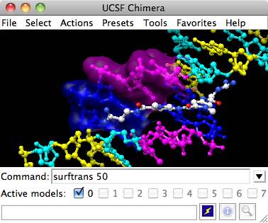 UCSF Chimera - DNA/Netropsin with surface