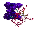 Image of dna-fpg