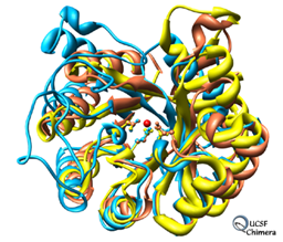 Image of Enolase