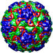 Chimeric Human Rhinovirus 14 w/ HIV1-V3 Loop, 1k5m