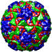 Human rhinovirus 14, 1rmu