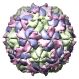 Poliovirus-2 Lansing Complexed with SCH48973, 1eah