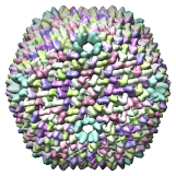 Bacteriophage PRD1 SUS607 mutant model, 1gw8