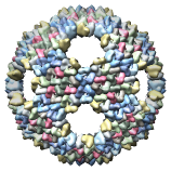 Bacteriophage PRD1 Model, 1hb5