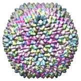 Bacteriophage PRD1 Wt Model, 1hb9